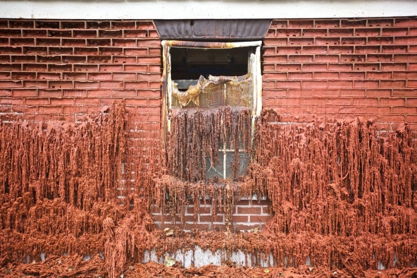 In the hands of this Briton, houses melt, fly and slide to the feet of passers-by