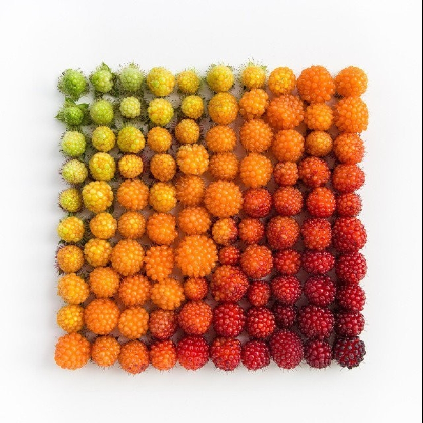 In the order of things: Emily Blinko's photo series