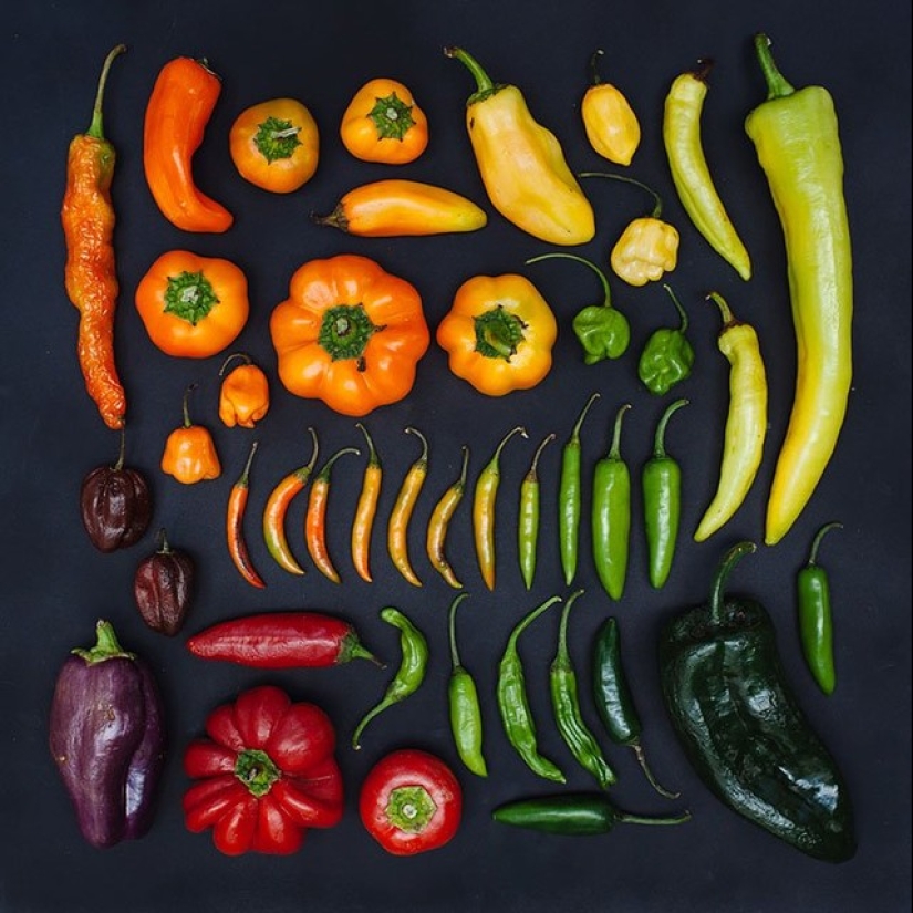 In the order of things: Emily Blinko's photo series