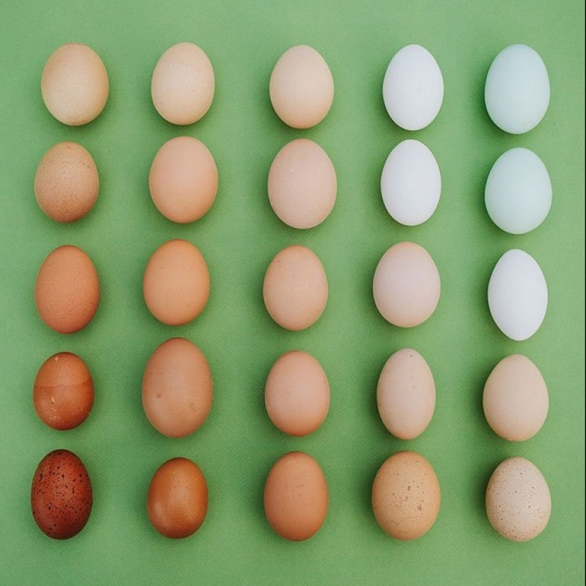 In the order of things: Emily Blinko's photo series