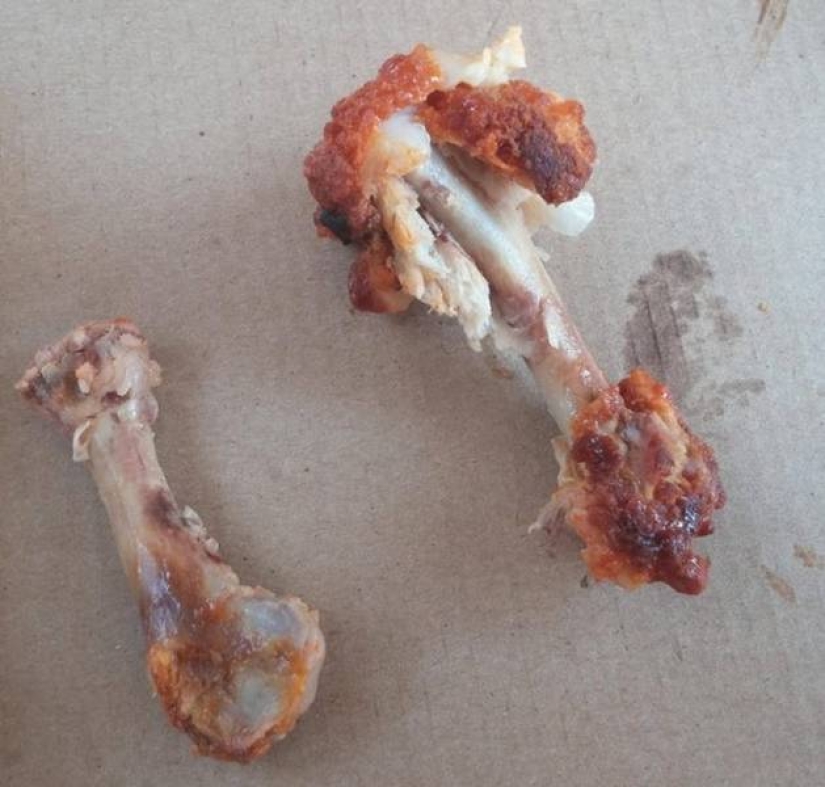 In the world there are only 2 types of people, and here are 14 of the evidence In the world there are only 2 types of people, and here are 14 of the evidence