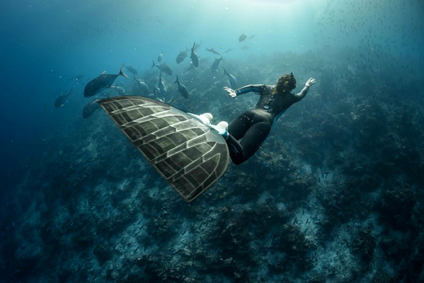 Increíble apnea en la naturaleza Increíble apnea en la naturaleza