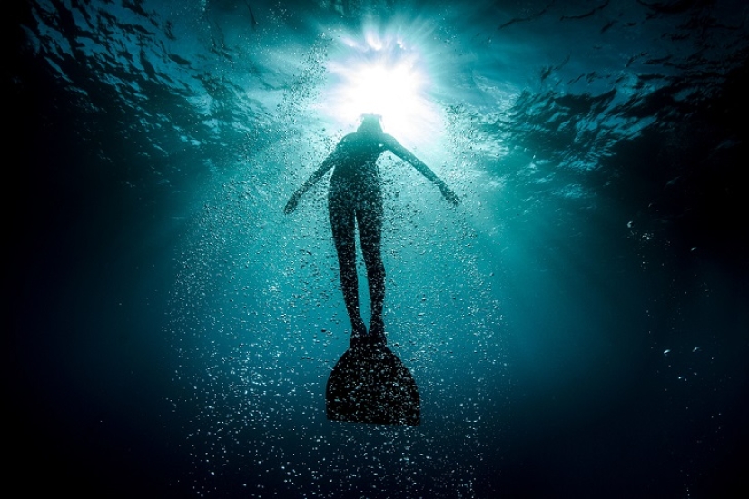 Increíble apnea en la naturaleza Increíble apnea en la naturaleza