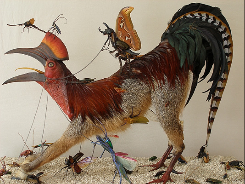 Increíble taxidermia de Enrique Gómez de Molina