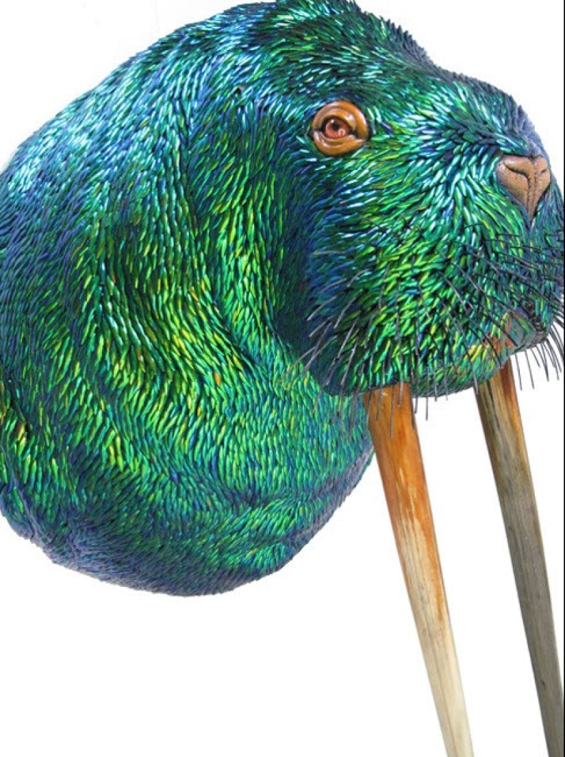 Increíble taxidermia de Enrique Gómez de Molina Increíble taxidermia de Enrique Gómez de Molina