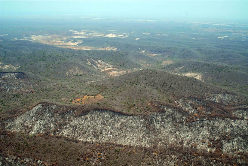 Increíbles criaturas de Madagascar