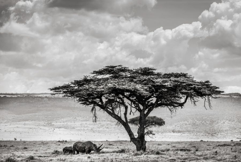 Increíbles retratos de personas de los rincones más remotos del planeta