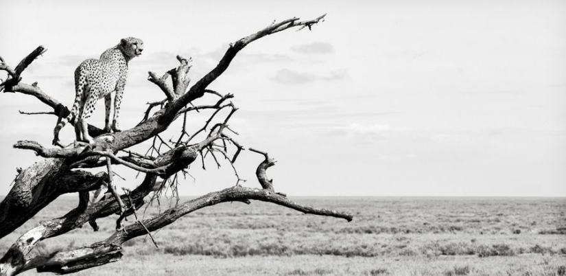 Increíbles retratos de personas de los rincones más remotos del planeta