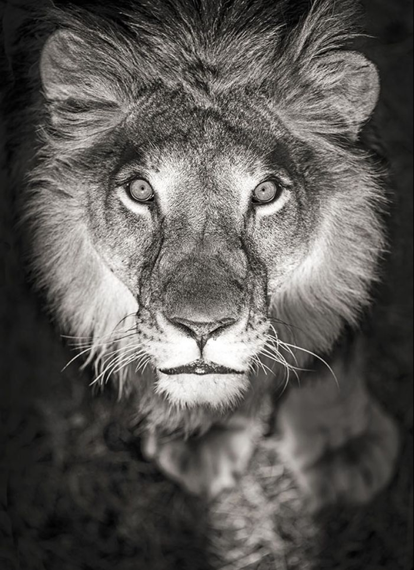 Increíbles retratos de personas de los rincones más remotos del planeta