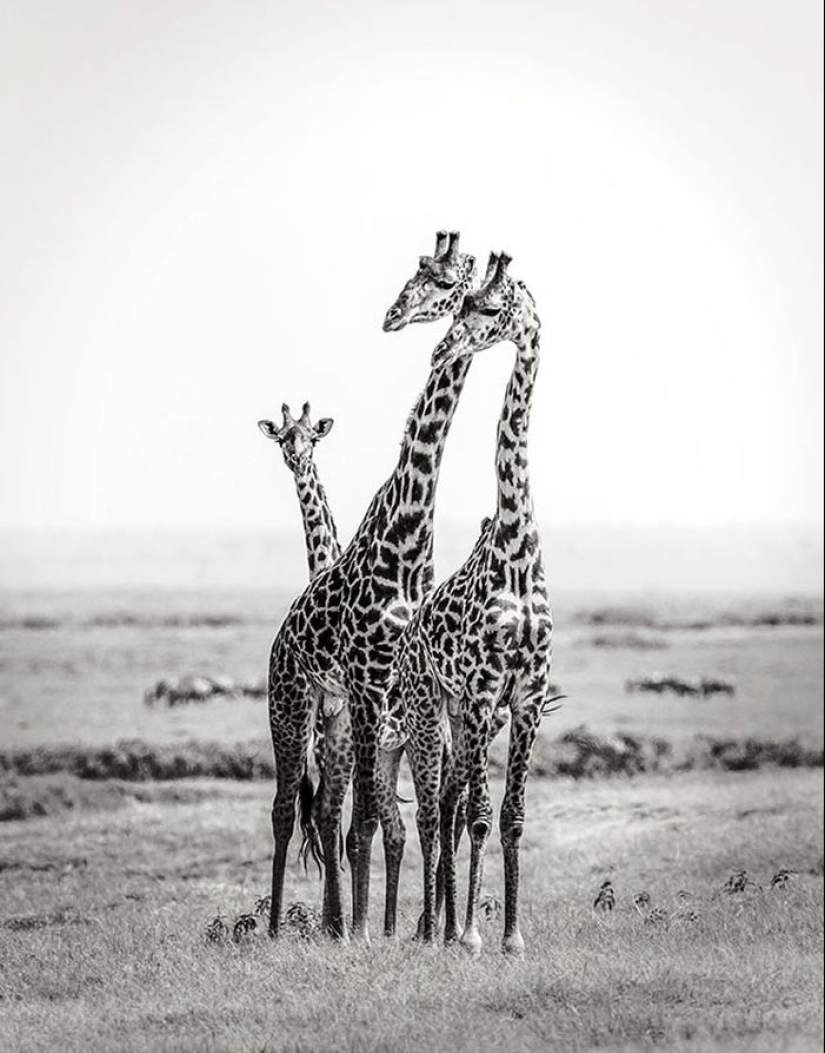 Increíbles retratos de personas de los rincones más remotos del planeta