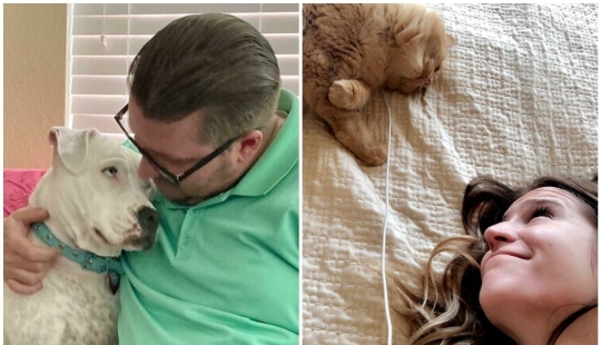 Instead of sight words: 20+ Pets who deeply love their owners Instead of sight words: 20+ Pets who deeply love their owners