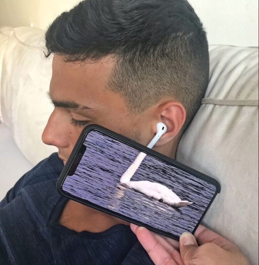 Inusual en lo ordinario: 30 collages de fotos divertidas hechas con un teléfono inteligente Inusual en lo ordinario: 30 collages de fotos divertidas hechas con un teléfono inteligente