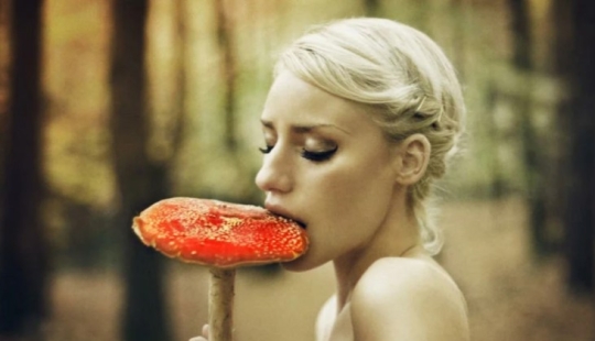 Is it possible to die if you eat fly agaric Is it possible to die if you eat fly agaric
