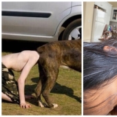 It just seemed: 22 photos that you will have to look at several times