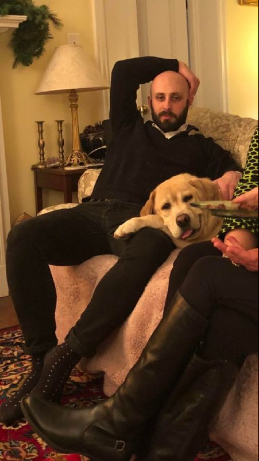 It seems that these animals are crazy It seems that these animals are crazy