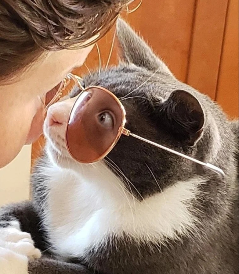 It turned out, it seemed: 22 photos that are misleading