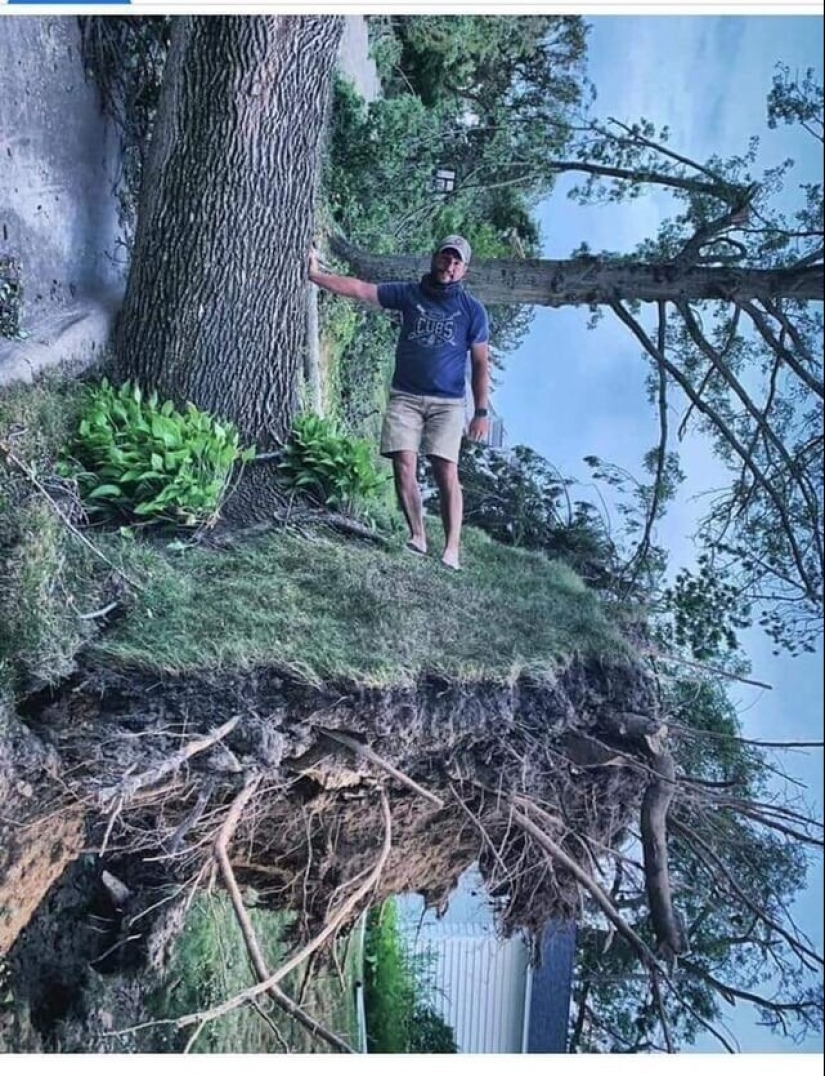 It turned out, it seemed: 22 photos that are misleading