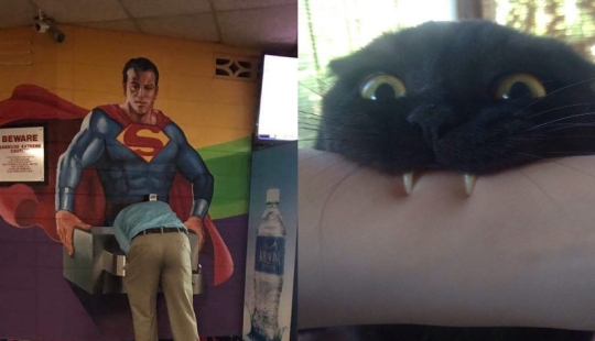 It's not every day you see this! 25 amazing events and things, captured in the photo It's not every day you see this! 25 amazing events and things, captured in the photo