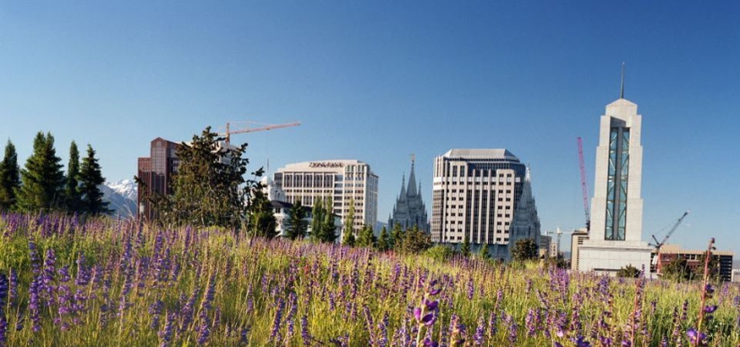 Jardines en la Azotea Jardines en la Azotea