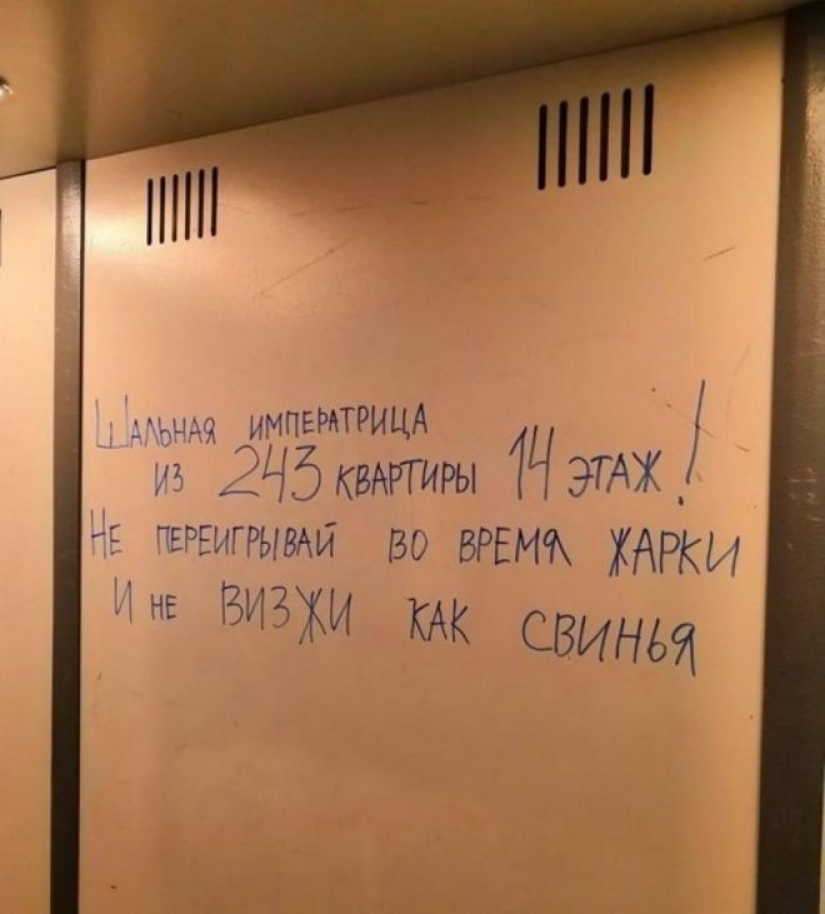 Jokes in Russian: 20 photos that will make you cry with laughter