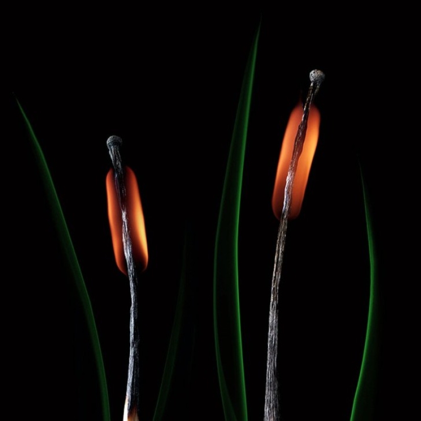 Juegos con fósforos: las obras mágicas de Stanislav Aristov Juegos con fósforos: las obras mágicas de Stanislav Aristov