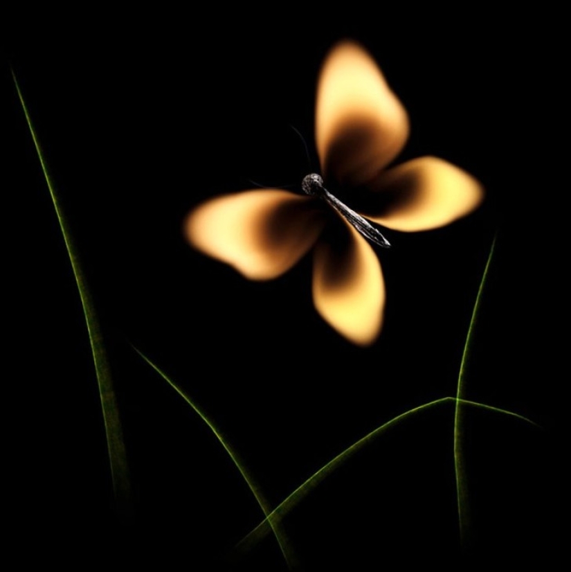 Juegos con fósforos: las obras mágicas de Stanislav Aristov Juegos con fósforos: las obras mágicas de Stanislav Aristov