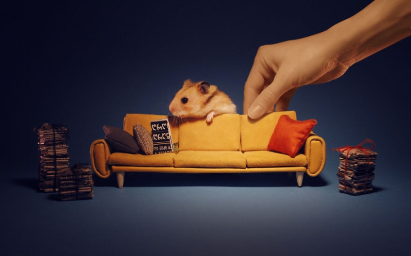 Khomyakopolis es una ciudad de hámsteres en miniatura que se ve mejor que la tuya