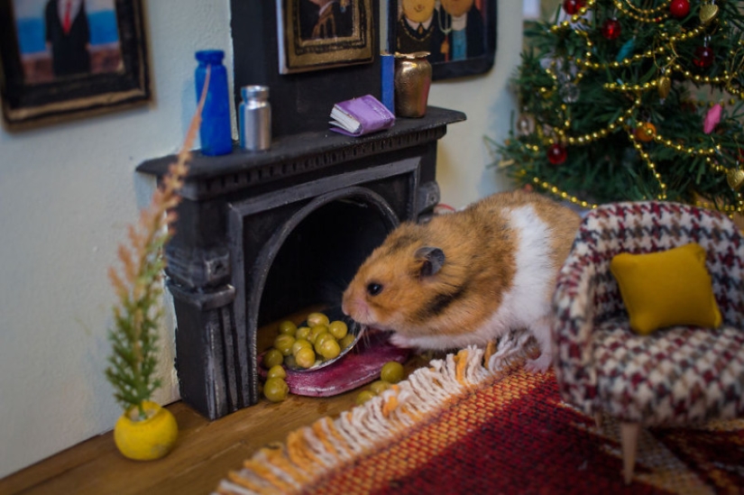 Khomyakopolis es una ciudad de hámsteres en miniatura que se ve mejor que la tuya