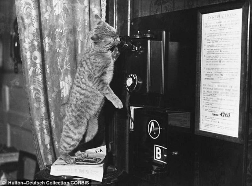 Kote del período" pre-internet" Kote del período" pre-internet"