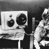 Kote del período" pre-internet"