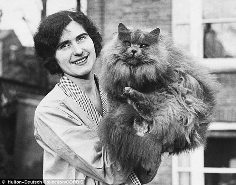 Kote del período" pre-internet" Kote del período" pre-internet"