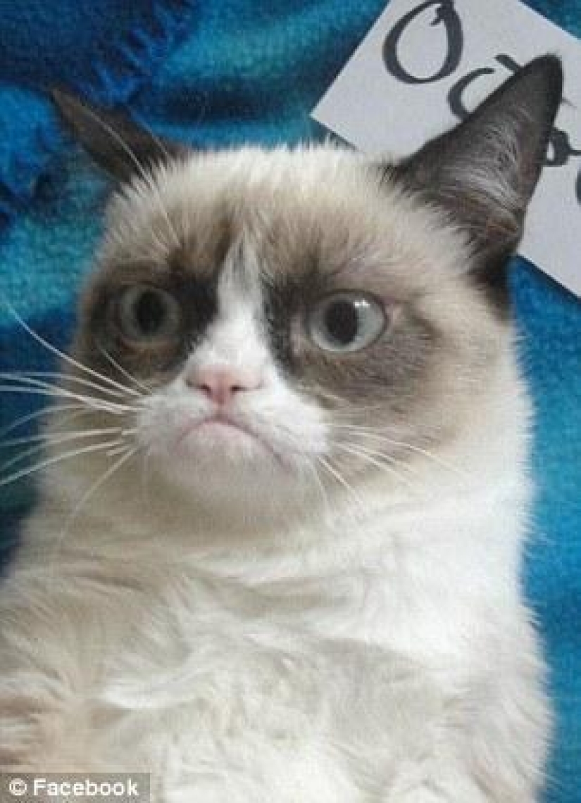 Kote del período" pre-internet" Kote del período" pre-internet"