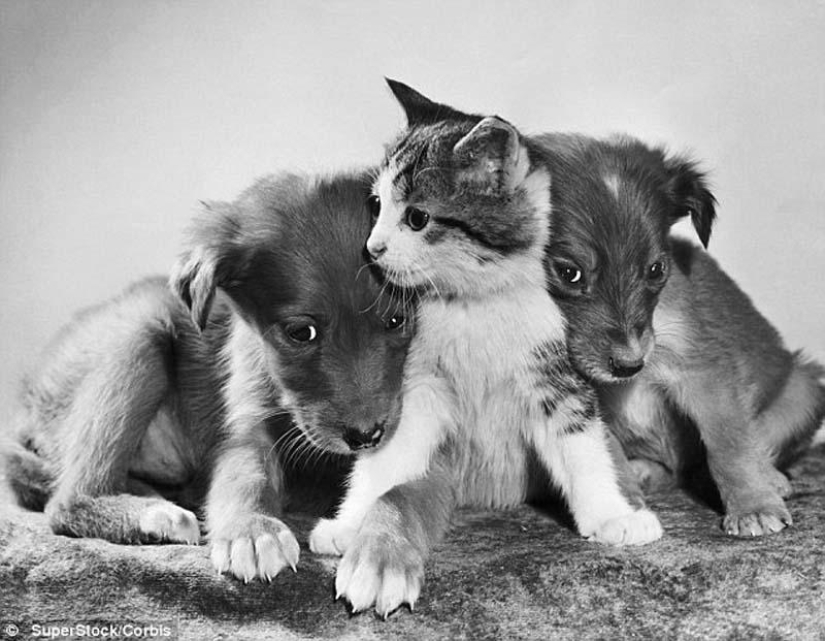 Kote del período" pre-internet" Kote del período" pre-internet"