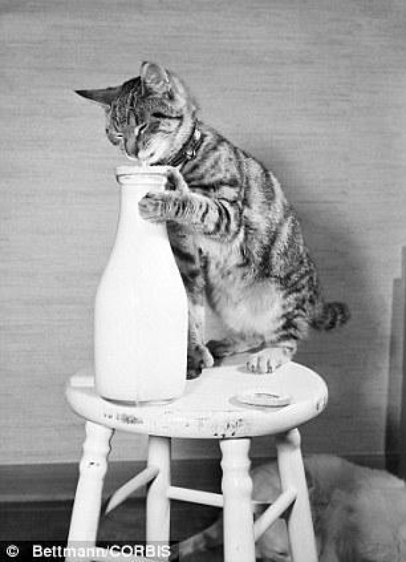 Kote del período" pre-internet" Kote del período" pre-internet"