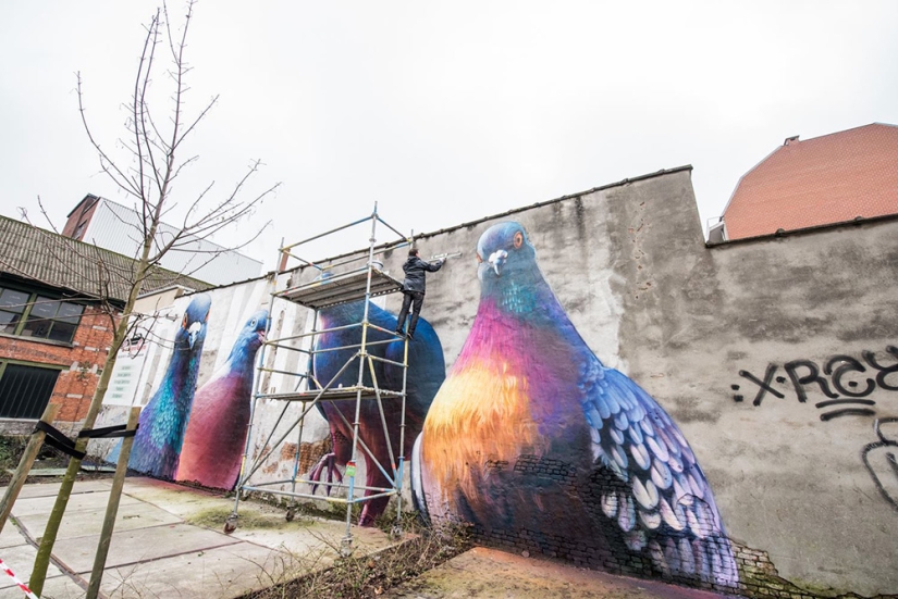 ¿Kurls-kurls? Artista callejero Super A y sus Palomas Gigantes ¿Kurls-kurls? Artista callejero Super A y sus Palomas Gigantes
