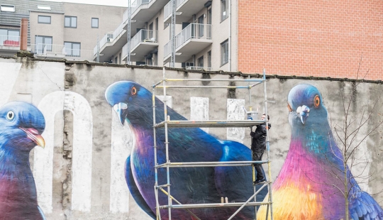 ¿Kurls-kurls? Artista callejero Super A y sus Palomas Gigantes