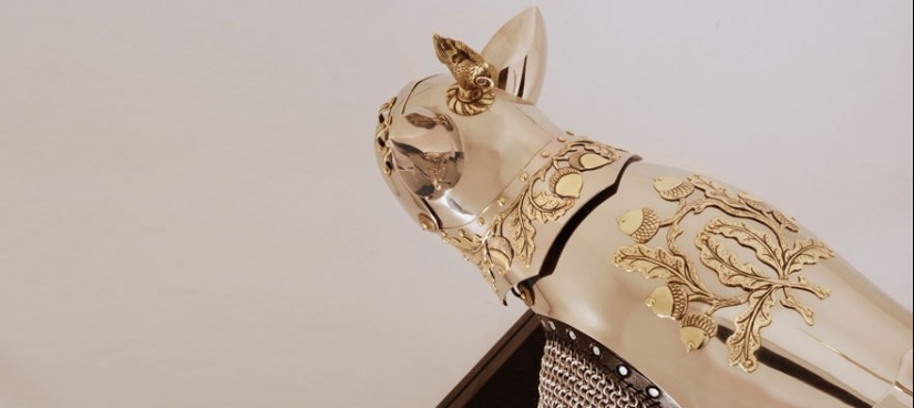 La armadura de los "dioses": la épica de la batalla, los enemigos antiguos La armadura de los "dioses": la épica de la batalla, los enemigos antiguos