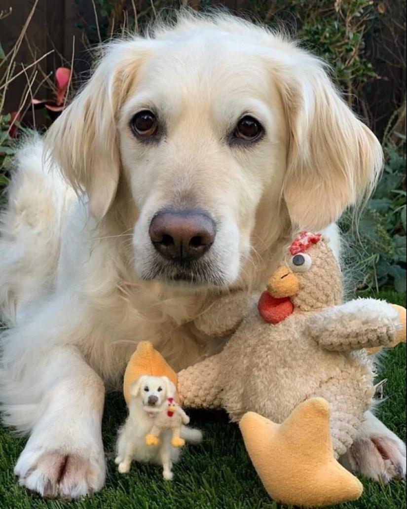 La artista Alison Gurney crea mini réplicas de animales en fieltro La artista Alison Gurney crea mini réplicas de animales en fieltro