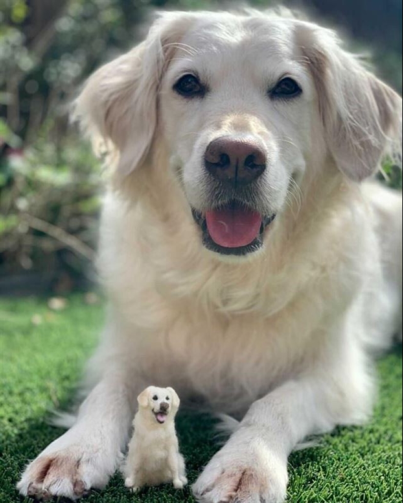 La artista Alison Gurney crea mini réplicas de animales en fieltro La artista Alison Gurney crea mini réplicas de animales en fieltro