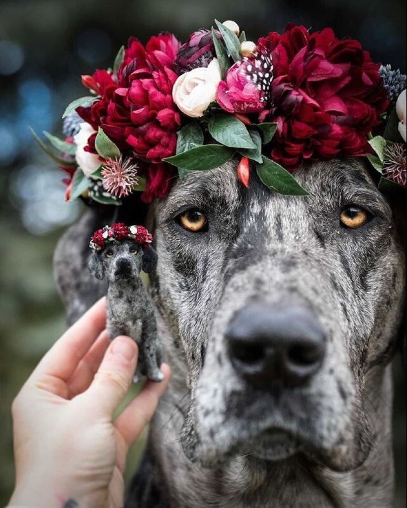 La artista Alison Gurney crea mini réplicas de animales en fieltro La artista Alison Gurney crea mini réplicas de animales en fieltro