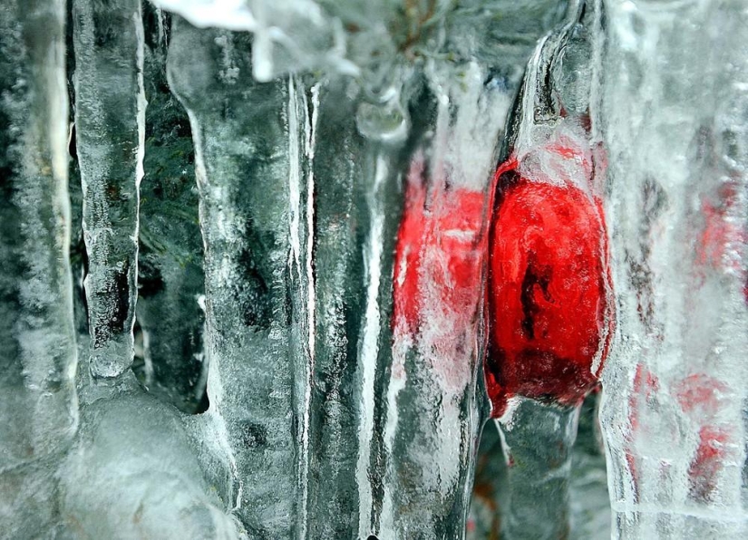 La belleza del invierno