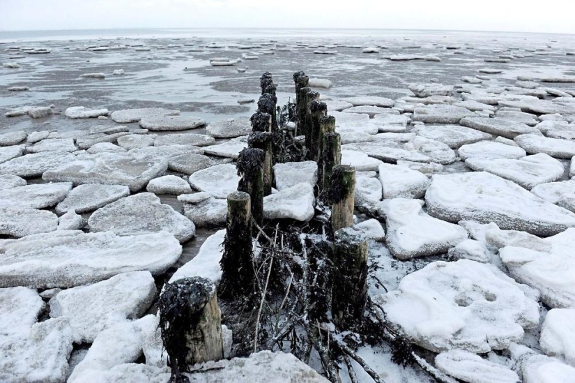 La belleza del invierno