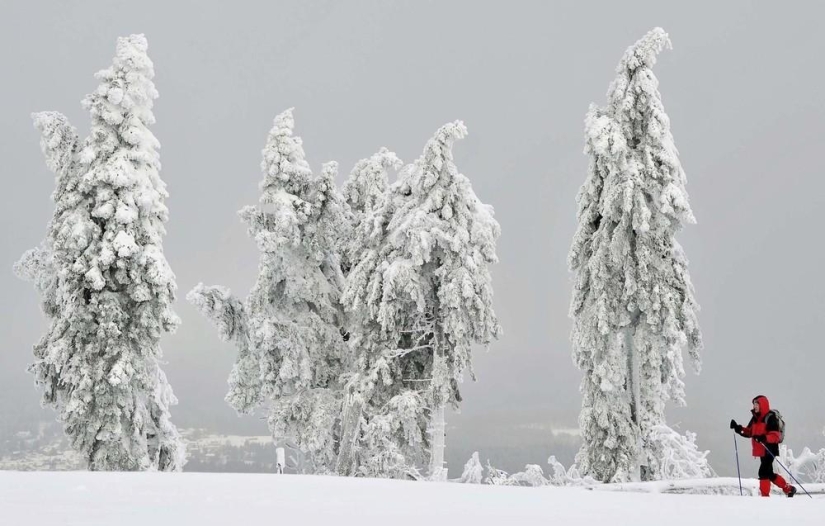 La belleza del invierno