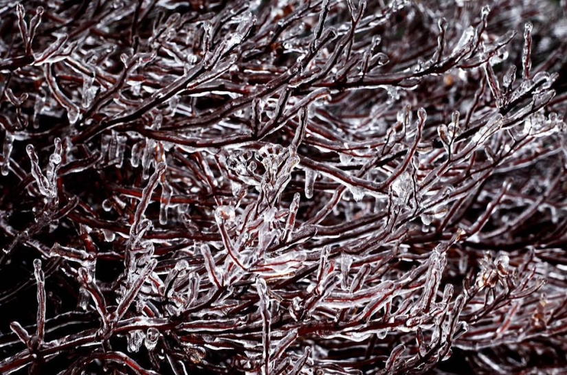 La belleza del invierno