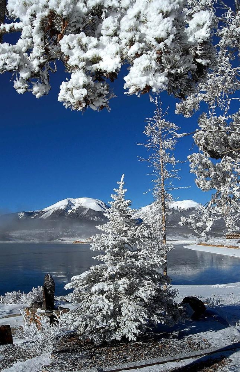 La belleza del invierno
