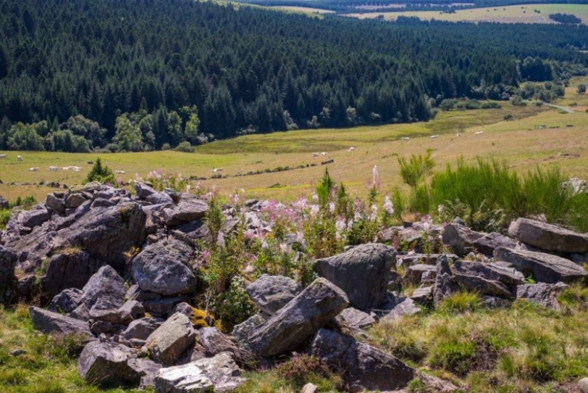 La bestia de Zhevodan: un cuento de hadas con un final infeliz La bestia de Zhevodan: un cuento de hadas con un final infeliz