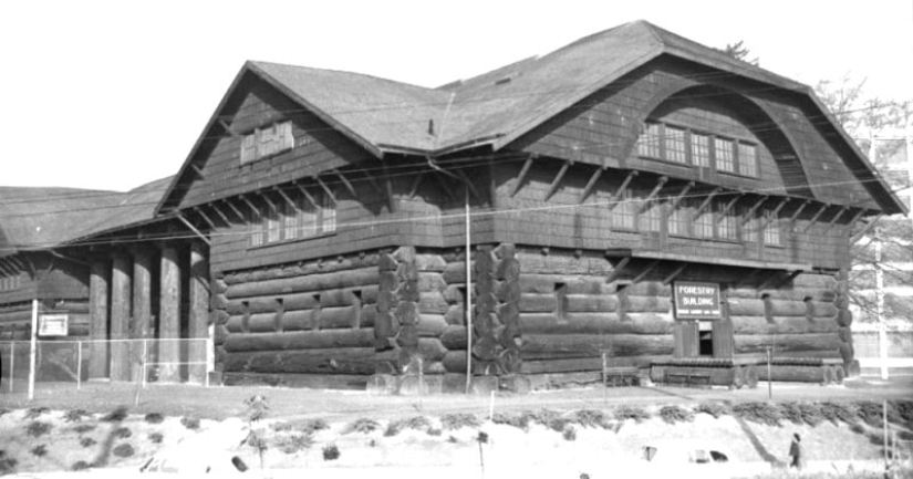 La cabaña más grande del mundo no se construyó en Rusia La cabaña más grande del mundo no se construyó en Rusia