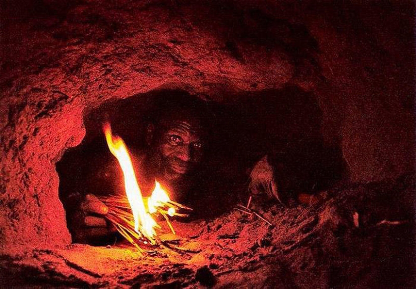 La captura de una pitón en cebo vivo