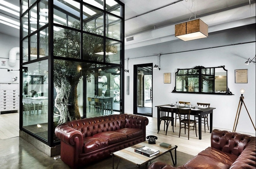 La casa, los arquitectos se negó a cortar los árboles