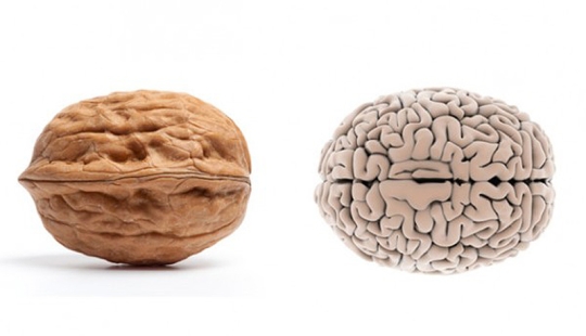 La comida es buena para la parte del cuerpo que parece. La comida es buena para la parte del cuerpo que parece.